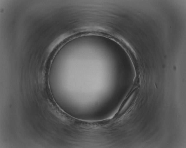 X0000086270975200704051305