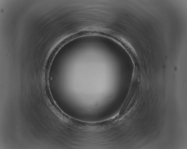 X0000086270976200704051305