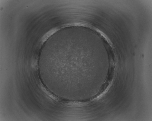 X0000086270977200704051305