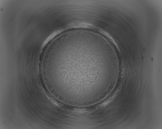 X0000086270978200704051305