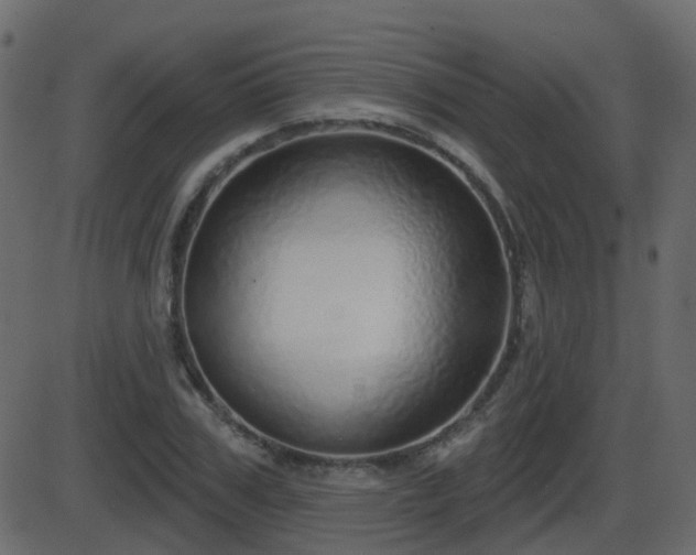 X0000086270979200704051305