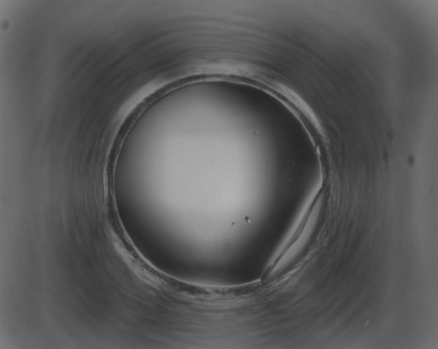 X0000086270980200704051305