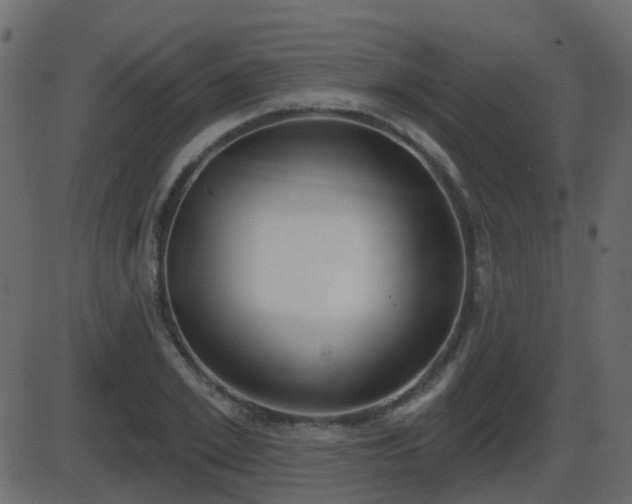 X0000086270981200704051305