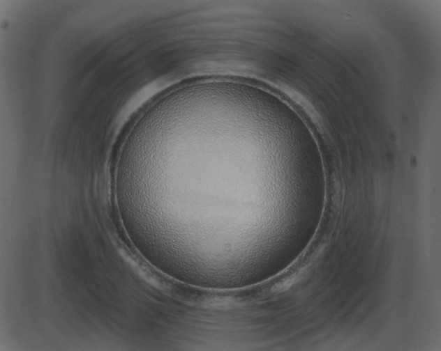 X0000086270982200704051305