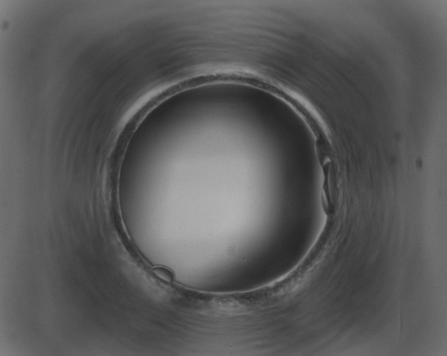 X0000086270983200704051305