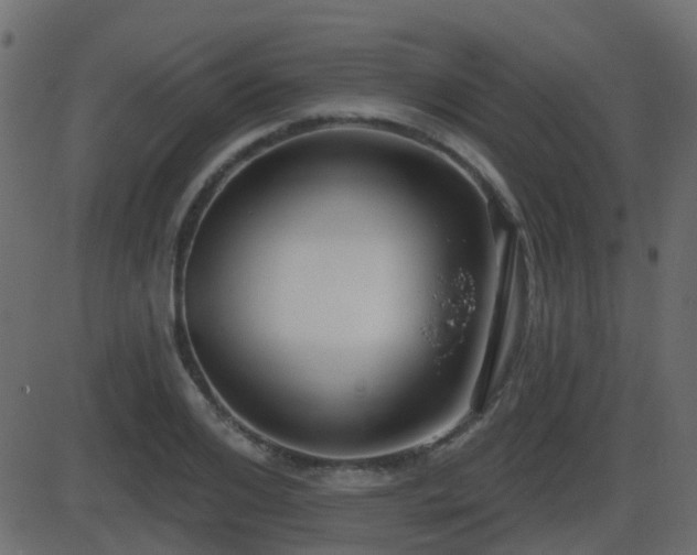 X0000086270984200704051305