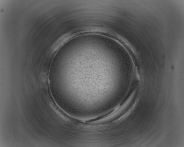 X0000086270985200704051305