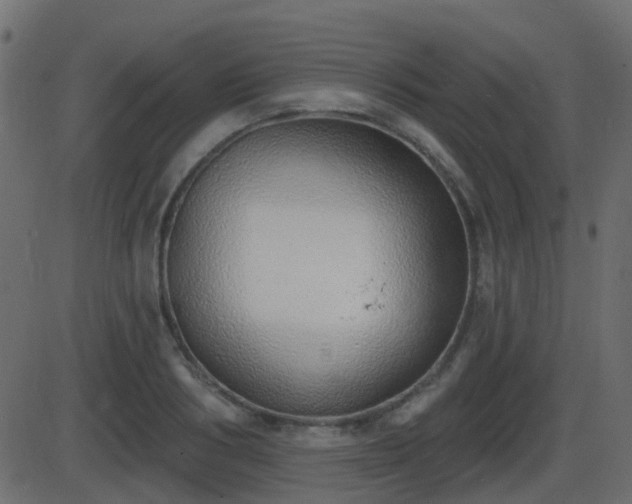 X0000086270986200704051305