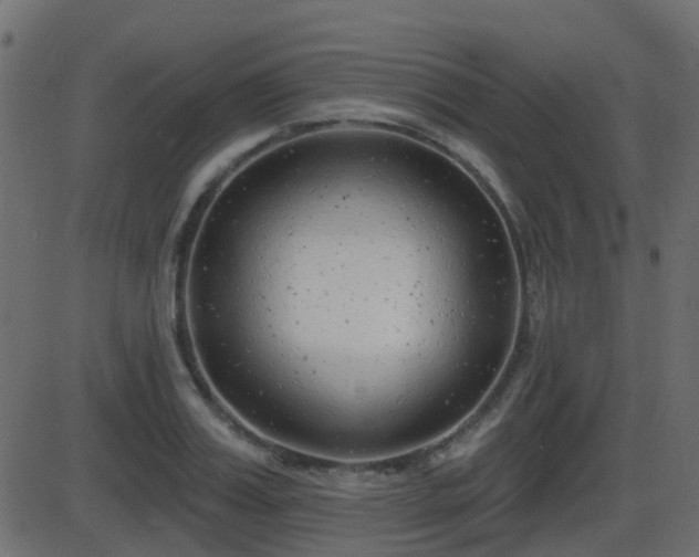 X0000086270987200704051305