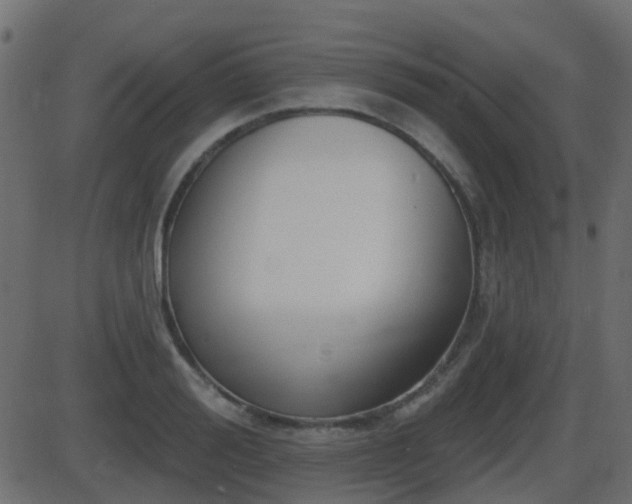 X0000086270988200704051305