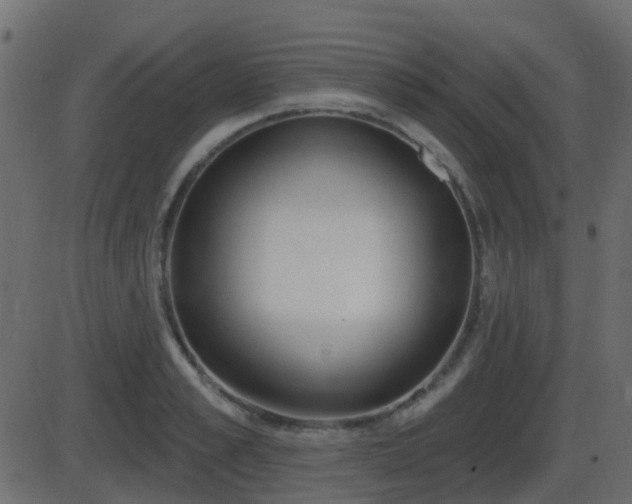 X0000086270989200704051305