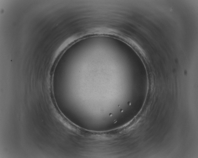 X0000086270990200704051305