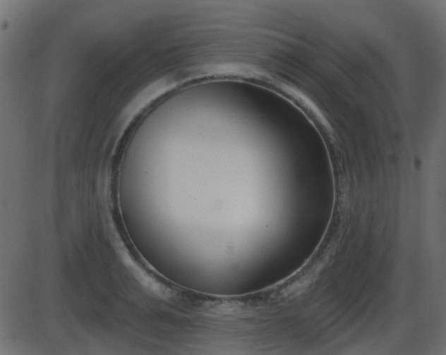 X0000086270991200704051305