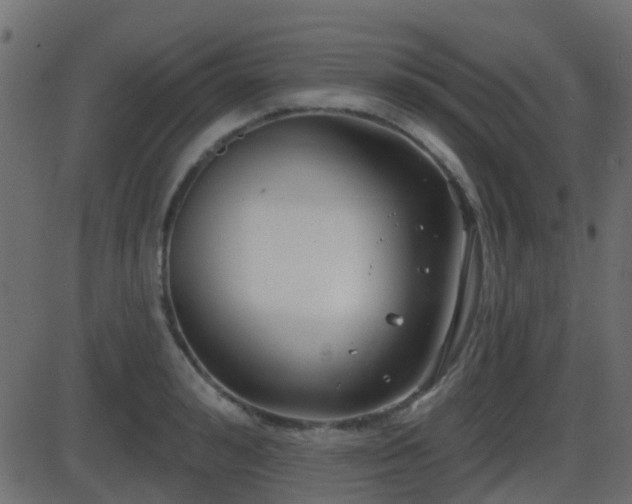 X0000086270992200704051305