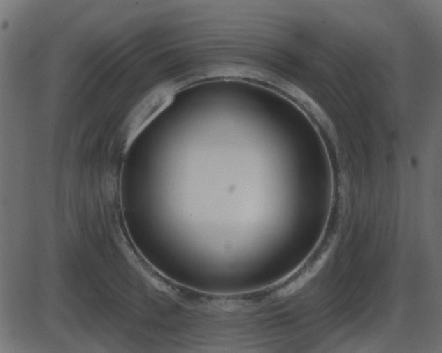 X0000086270993200704051305