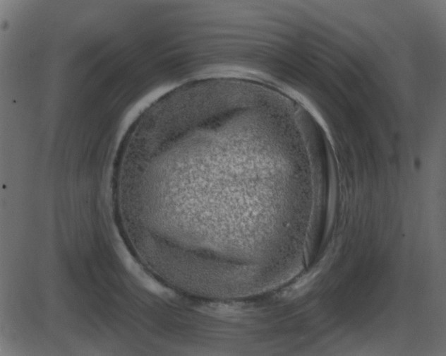 X0000086270995200704051305