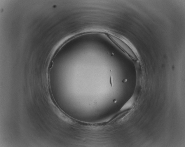 X0000086270996200704051305