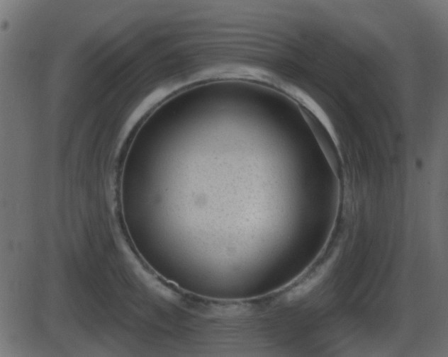 X0000086270997200704051305