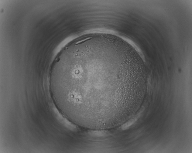 X0000086270998200704051304