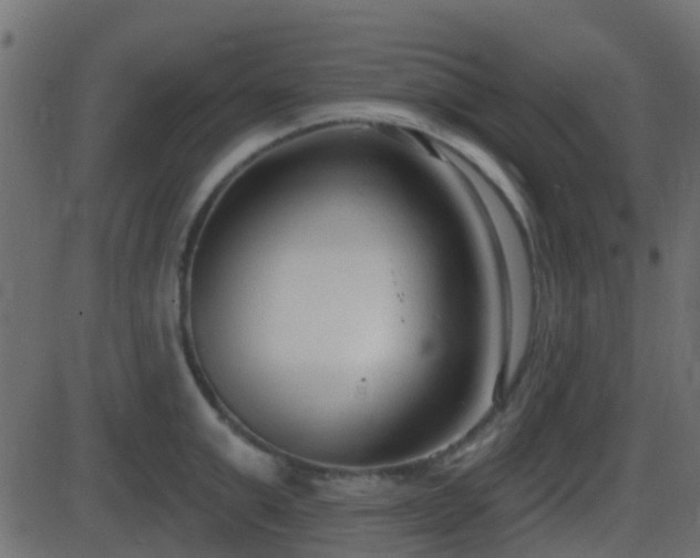 X0000086270999200704051304