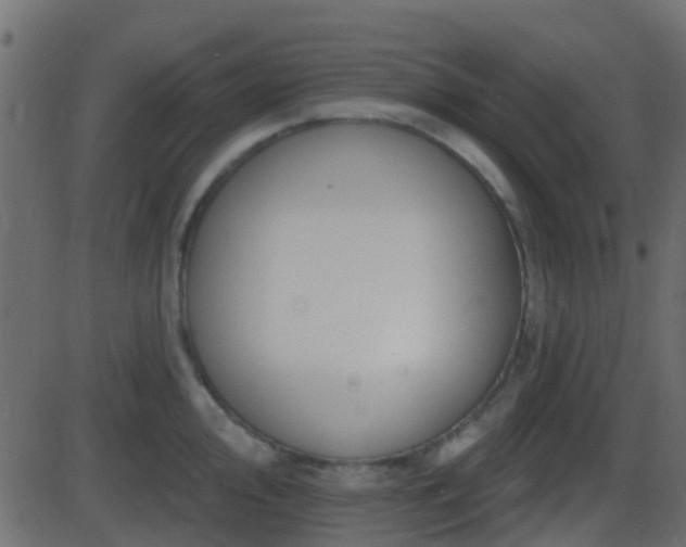 X0000086271000200704051304