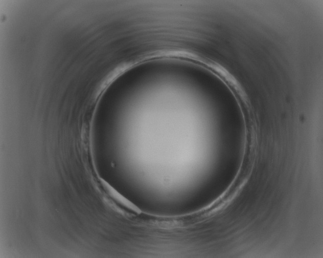 X0000086271001200704051304