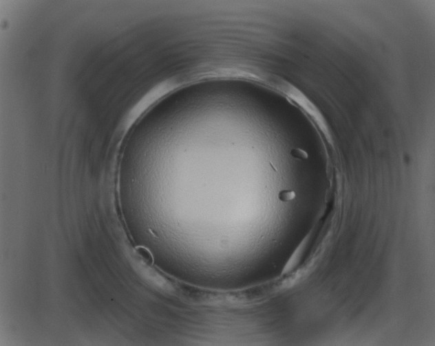 X0000086271002200704051304