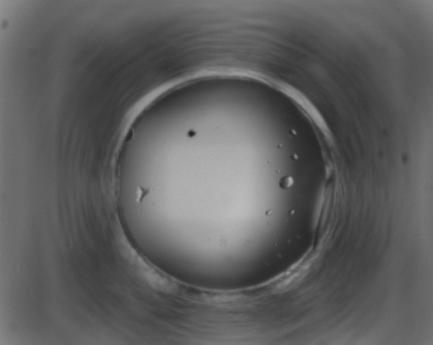 X0000086271004200704051304