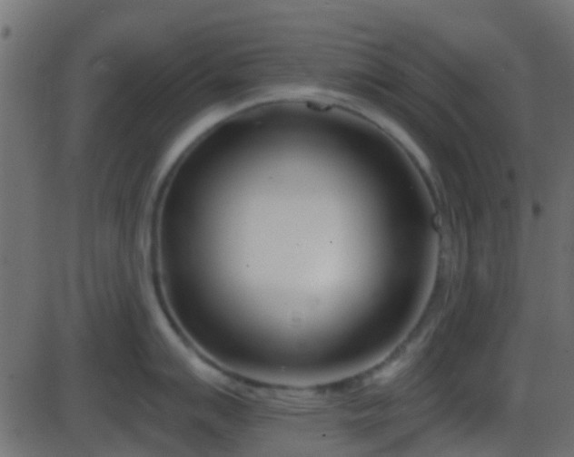 X0000086271007200704051304