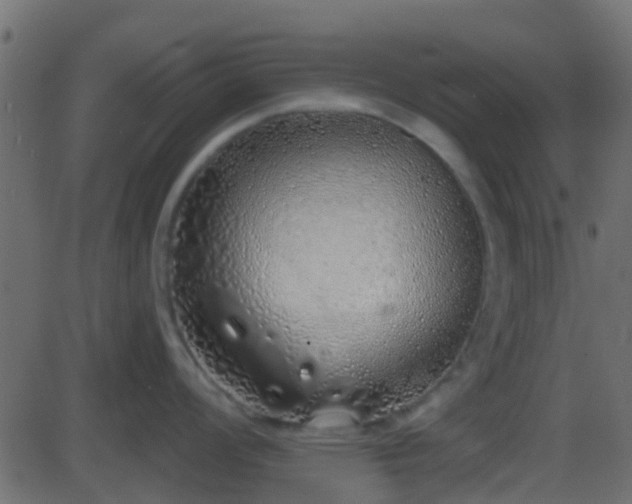 X0000086271008200704051304