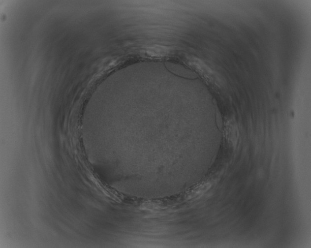 X0000086271009200704051304