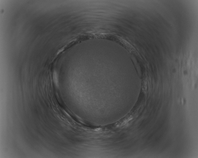 X0000086271010200704051304