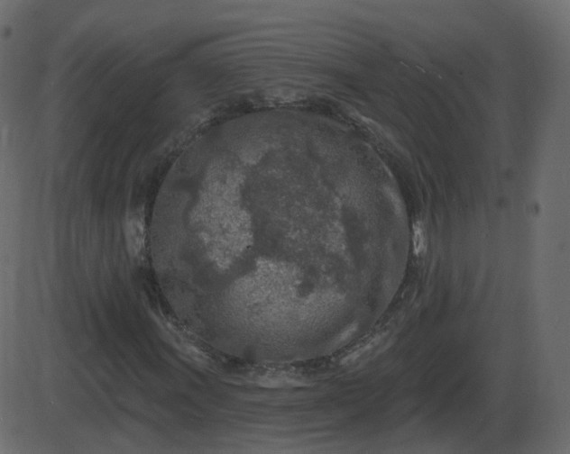 X0000086271011200704051304