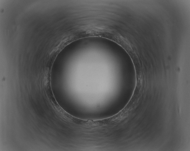 X0000086271012200704051304