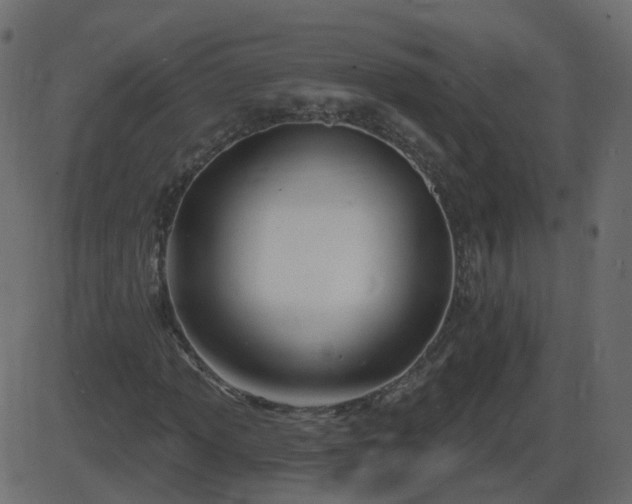 X0000086271013200704051304