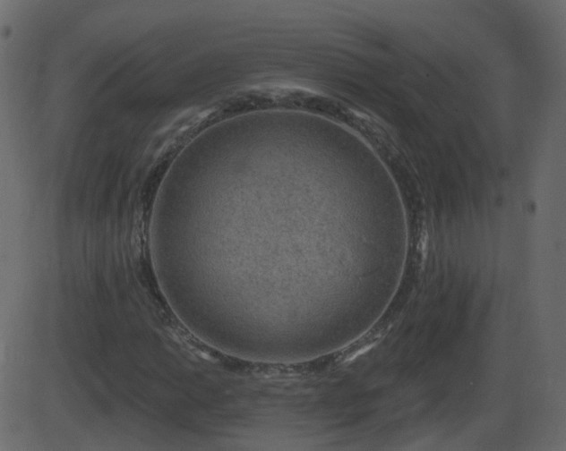 X0000086271014200704051304