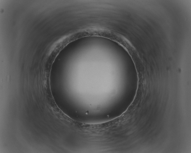 X0000086271016200704051304