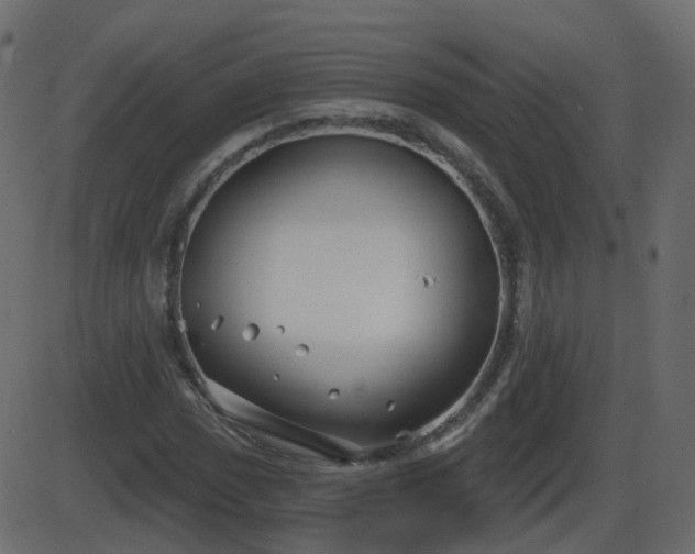 X0000086271017200704051304