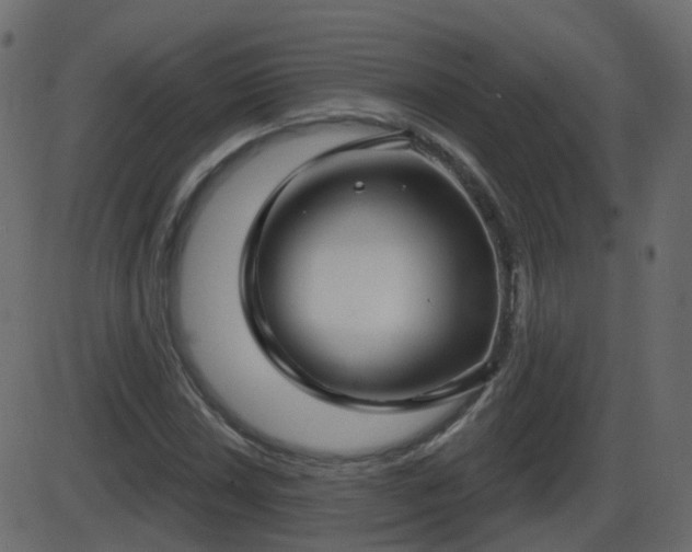 X0000086271018200704051304