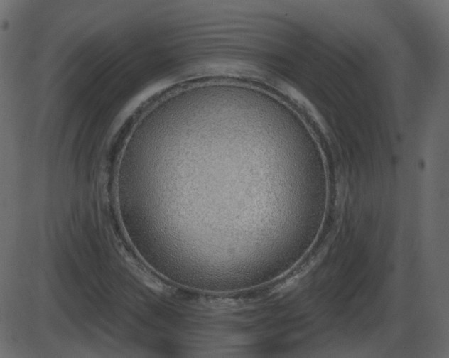 X0000086271019200704051304