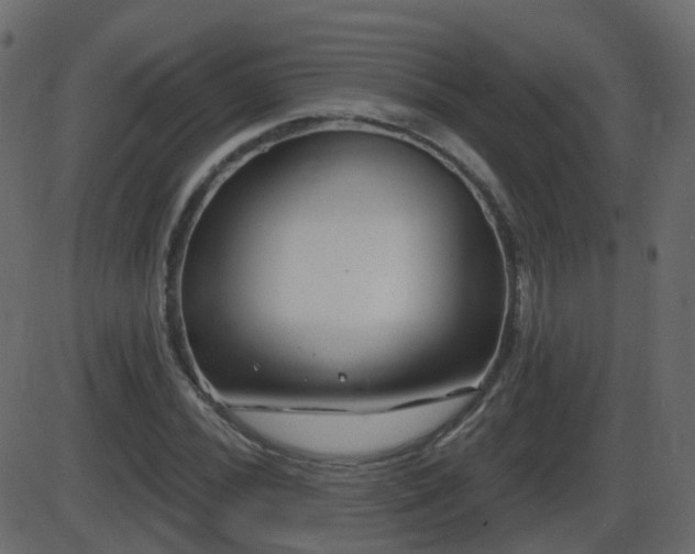 X0000086271020200704051304