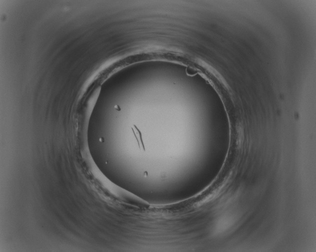 X0000086271021200704051304