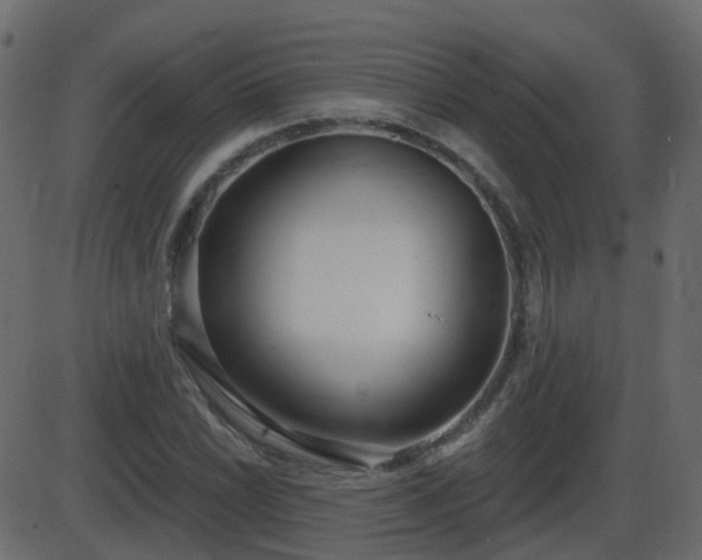 X0000086271022200704051304