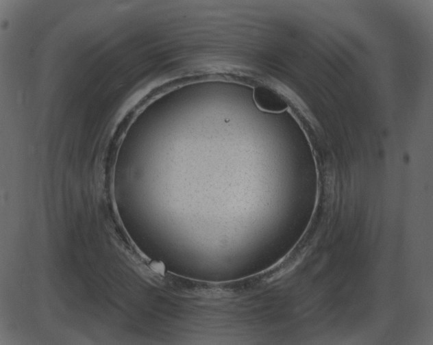 X0000086271023200704051304