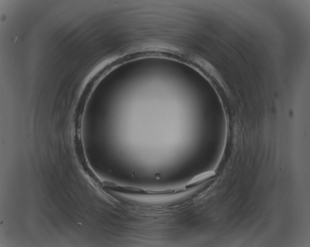 X0000086271024200704051304