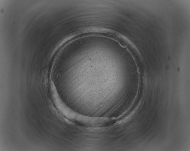 X0000086271025200704051304