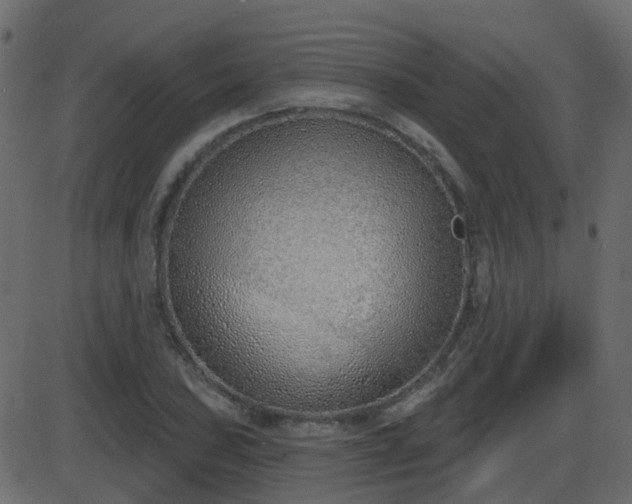 X0000086271027200704051304