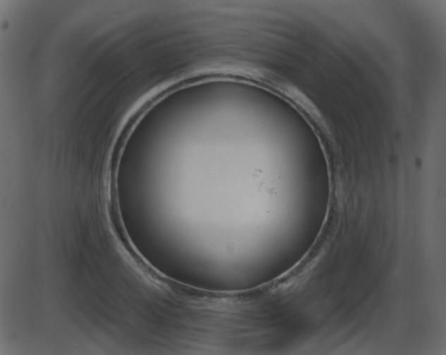 X0000086271028200704051304