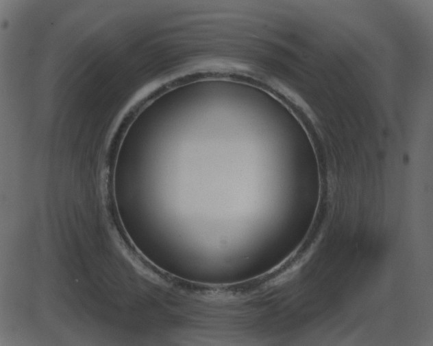 X0000086271029200704051304