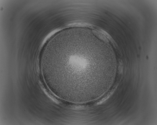 X0000086271030200704051304